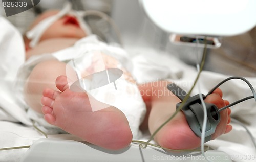 Image of newborn baby foot in incubator