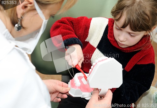 Image of A little girl learning to clean a teeth at a dentist