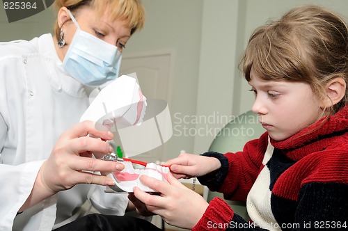 Image of Medical. Dentist teaching a little girl to clean a teeth
