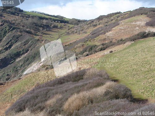 Image of evergreen mountain