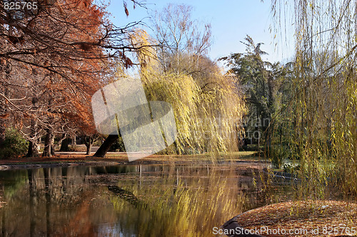 Image of park in Novi Sad, Serbia