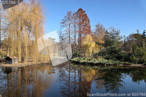 Image of park in Novi Sad, Serbia