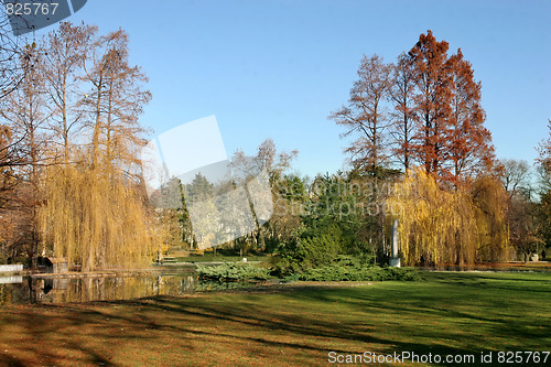 Image of park in Novi Sad, Serbia