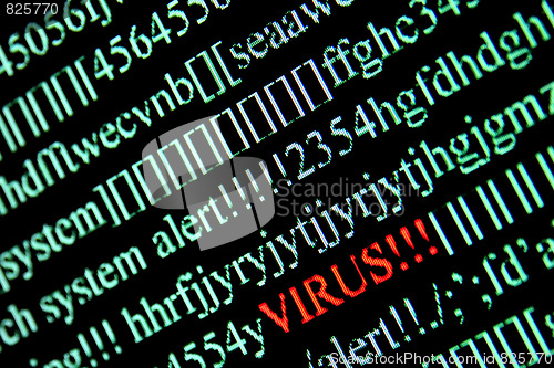 Image of Computer Virus