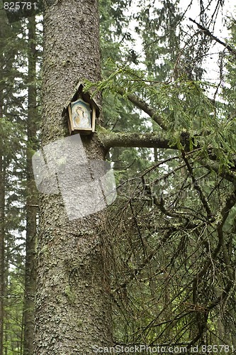 Image of Tree shrine
