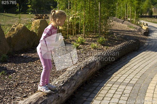 Image of Little girl eatin ice cream