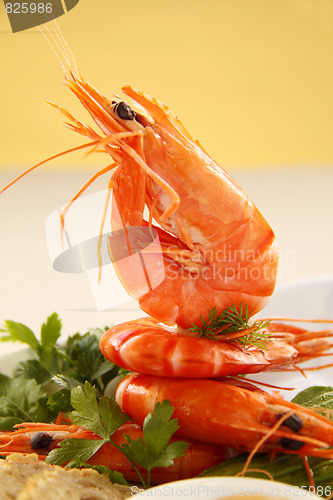 Image of Standing Shrimp