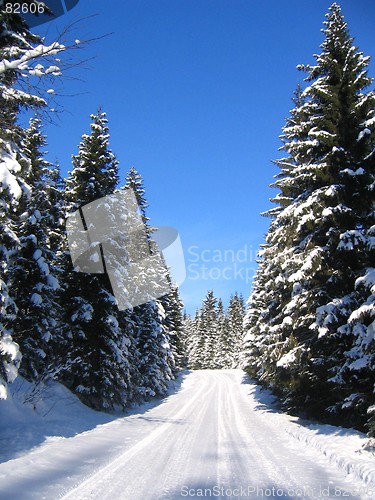 Image of Winter road