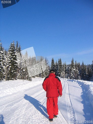 Image of Walking in winter