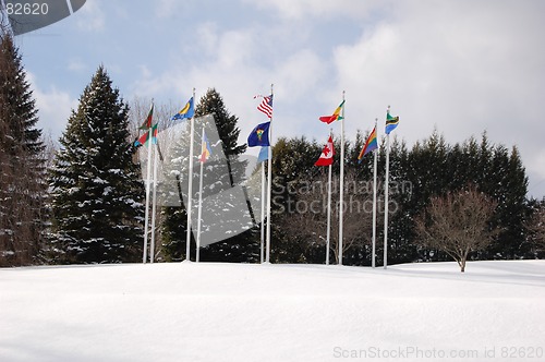 Image of flags