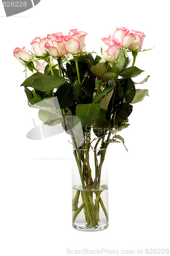 Image of Roses in vase