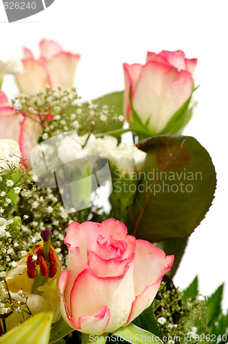 Image of Bouquet