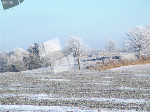 Image of a frosty day