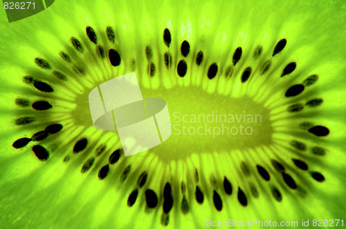 Image of Kiwi