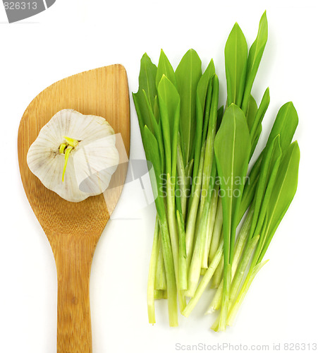 Image of Garlic and ramsons