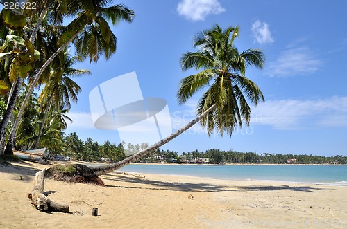 Image of Beach