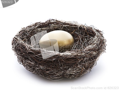 Image of Egg