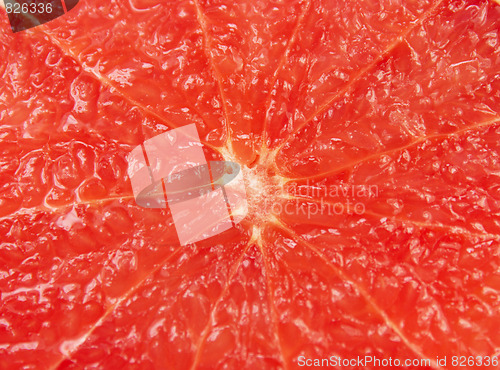 Image of Grapefruit macro