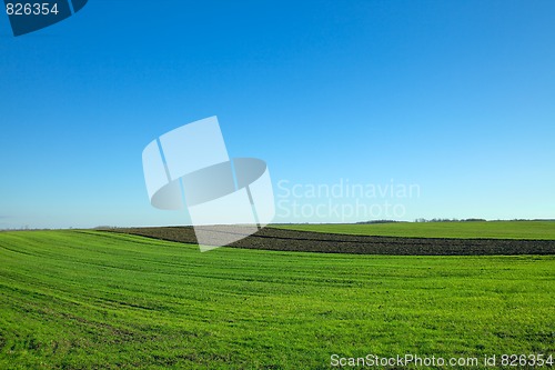 Image of Field