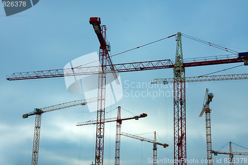 Image of Cranes