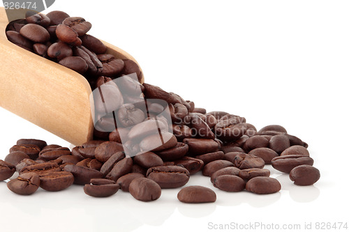 Image of Coffee Beans