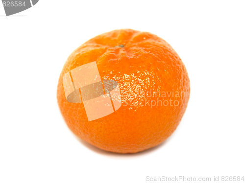 Image of Tangerine