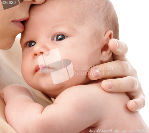 Image of Newborn in mother's hands