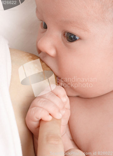 Image of Newborn sucks mother's breast, breastfeeding
