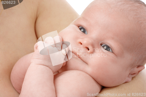 Image of Cute newborn in mother's hands