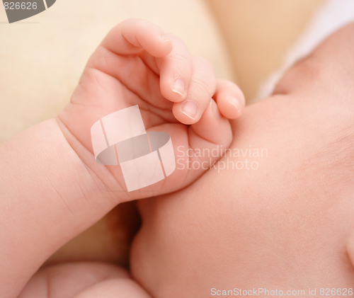 Image of Newborn sucks mother's breast, breastfeeding