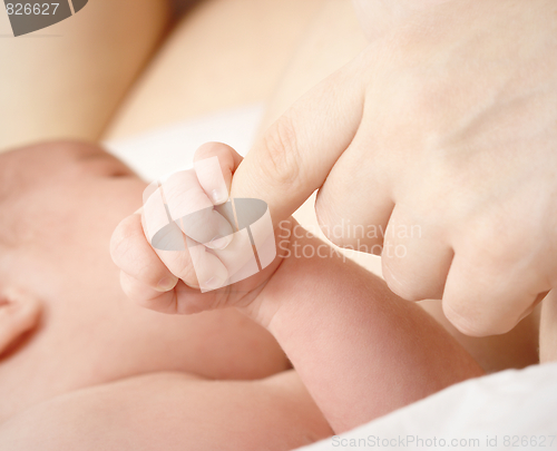 Image of Newborn sucks mother's breast, breastfeeding