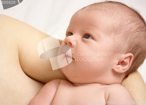 Image of Newborn in mother's hands