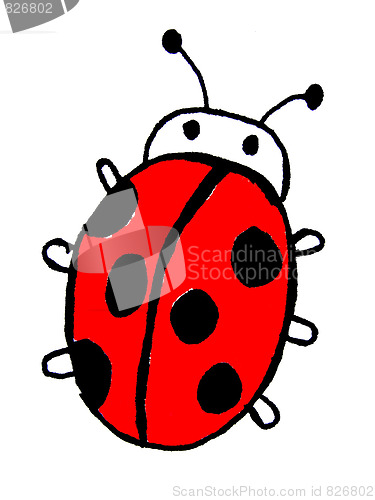 Image of ladybird