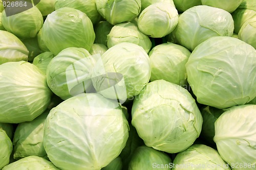 Image of Fresh cabbage