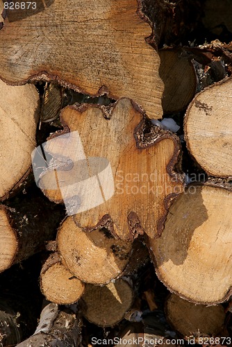 Image of Logs Interesting Shapes