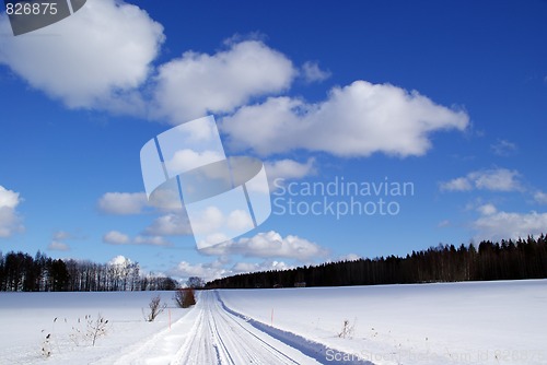 Image of Beautiful Fair Weather Sky