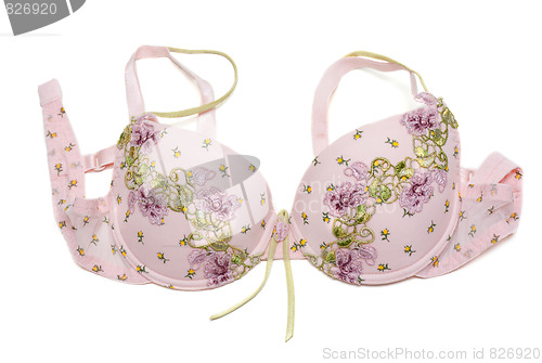 Image of Rose bra with green embroidery