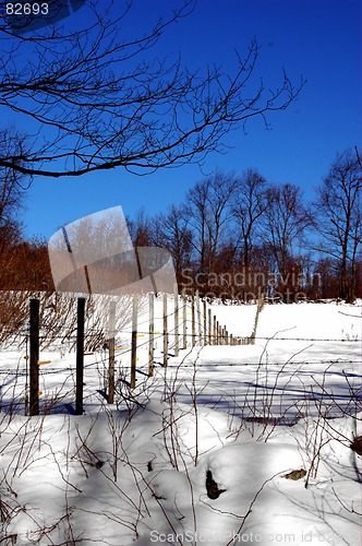 Image of winter fence