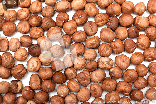 Image of Hazelnut background