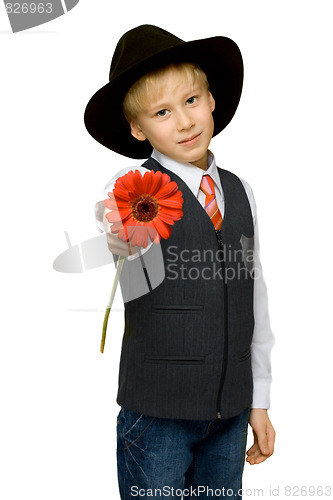 Image of Portrait boy with red flower