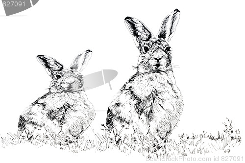 Image of The Hares