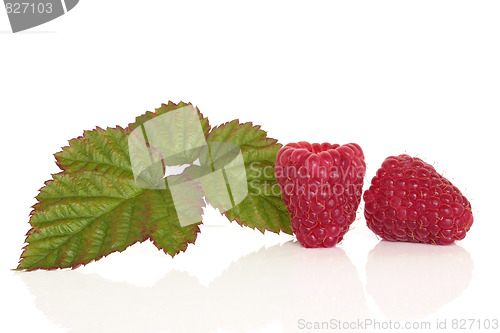 Image of Raspberry Fruit