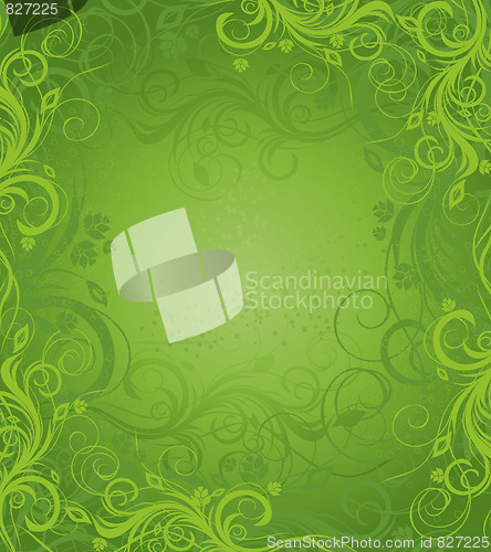 Image of Vector floral background