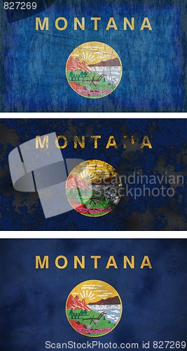 Image of Flag of Montana