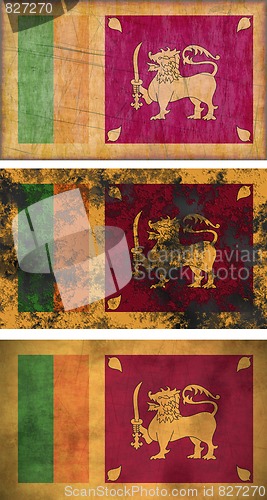 Image of Flag of Sri Lanka