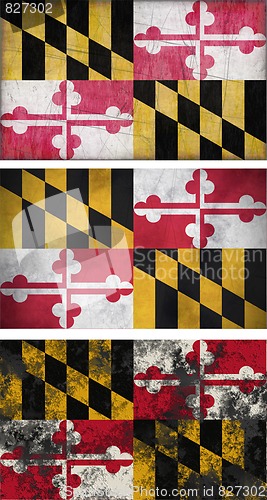 Image of Flag of Maryland