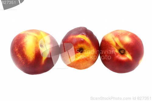 Image of Three nectarine on white background