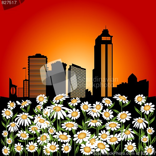 Image of urban flowers