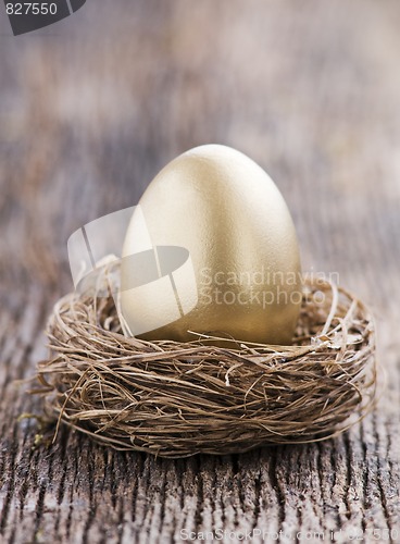 Image of Golden egg