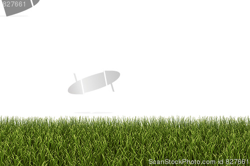 Image of Green Grass